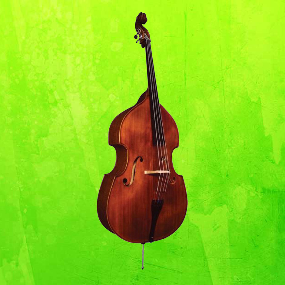Private Double Bass Lessons Lessons Unlimited