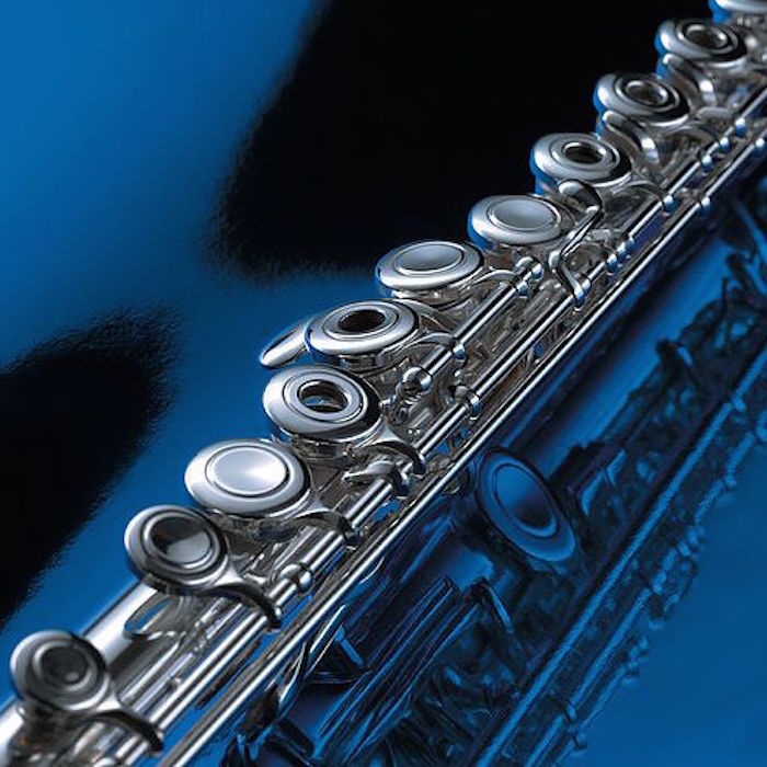 Private Flute Lessons St. Louis Lessons Unlimited